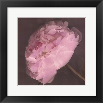 Framed Fleur Print