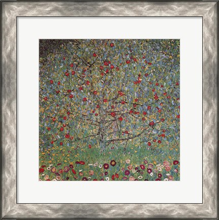 Framed Apple Tree Print