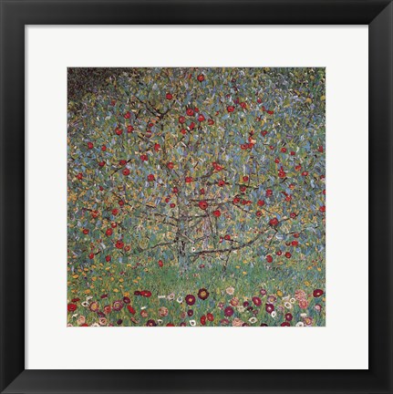 Framed Apple Tree Print