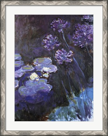 Framed Waterlillies and Agapanthus Print