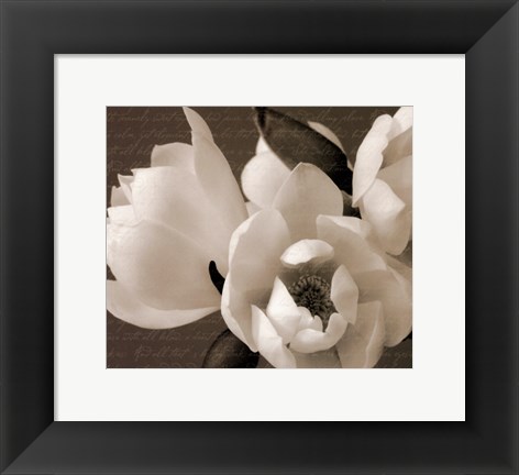 Framed Winter Magnolia I Print