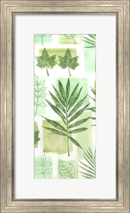Framed Leaf Impressions VI Print