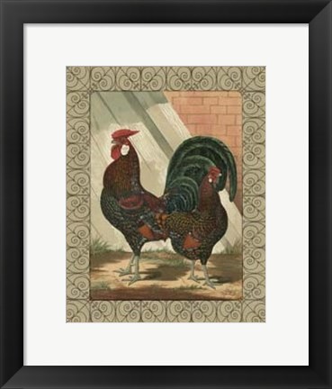 Framed Cassell&#39;s Roosters with Border V Print
