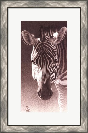 Framed Grant, the Zebra Print