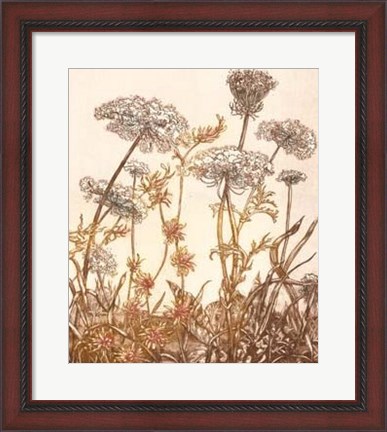 Framed Field of Lace I Print