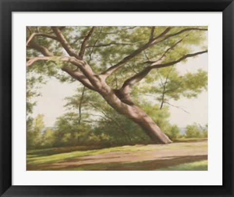 Framed Leaning Tree, 2003 Print