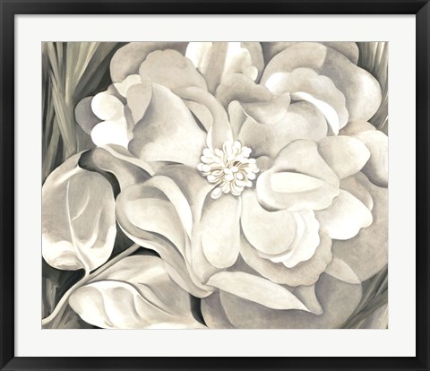 Framed White Calico Flower, 1931 Print