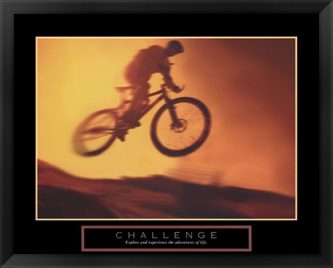 Framed Challenge - Bike Print