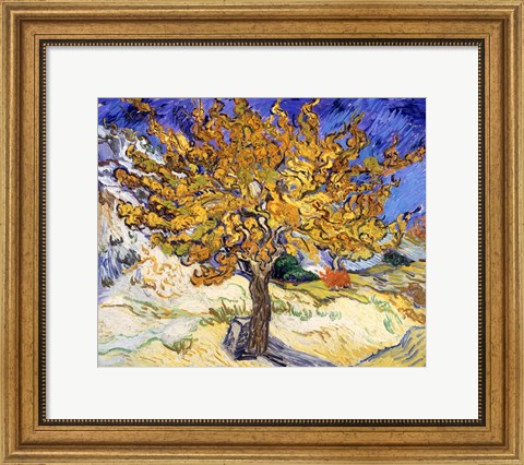 Framed Mulberry Tree in Autumn, c.1889 Print