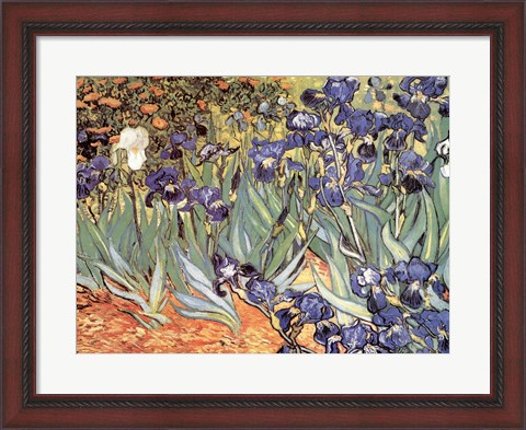 Framed Irises in the Garden, Saint-Remy, c.1889 Print