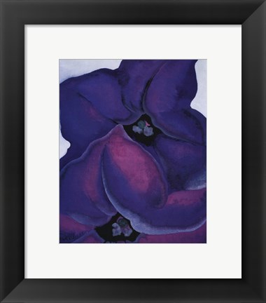 Framed Purple Petunias, 1925 Print