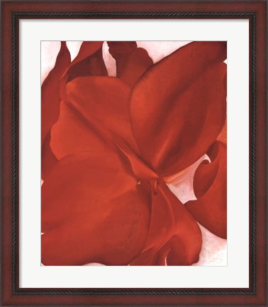 Framed Red Cannas Print