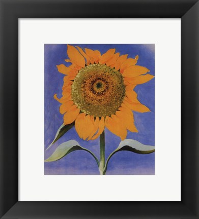 Framed Sunflower, New Mexico, 1935 Print