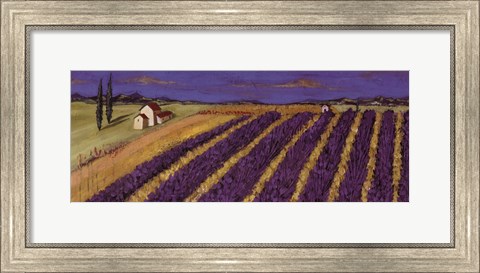 Framed Rows of Lavender Print