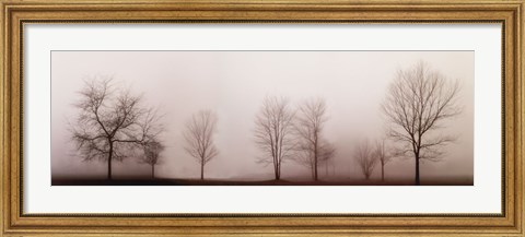 Framed Misty Meadow Print