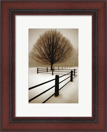 Framed Solitude Print