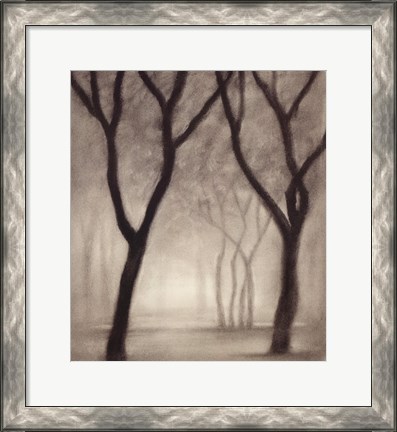 Framed Forest IV Print