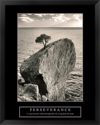 Framed Perseverance - Lone Pinyon Tree Print