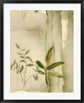 Framed Vizcaya Ferns II Print