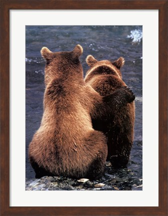 Framed Two Bear Cubs Print