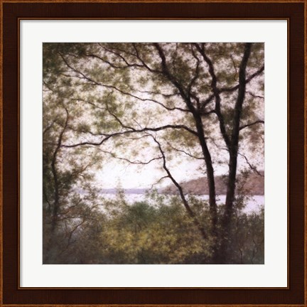 Framed Lakeside Trees I Print