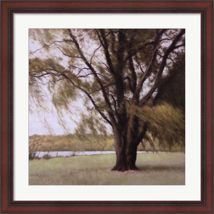 Framed Lakeside Trees II Print