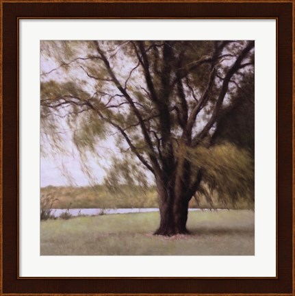 Framed Lakeside Trees II Print