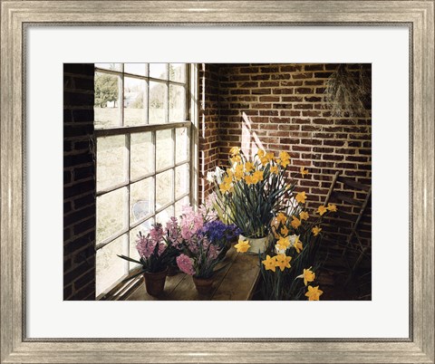 Framed Flower House Morning Print
