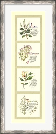 Framed Kitchen Herbs I Print