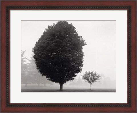 Framed In Touch with Stillness Print