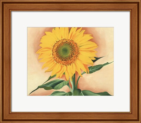 Framed Sunflower from Maggie, 1937 Print