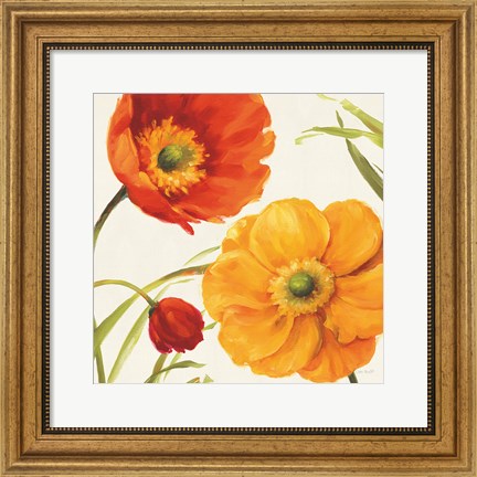 Framed Poppies Melody II Print