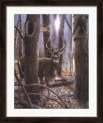 Framed Woodland Sentry Print