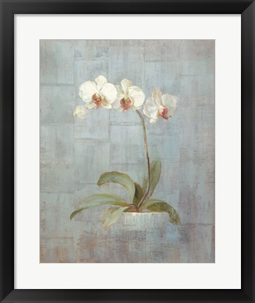 Framed Elegant Orchids II Print