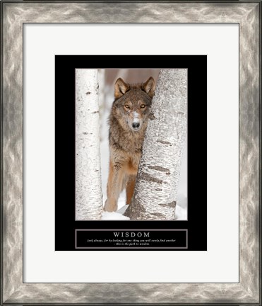 Framed Wisdom - Gray Wolf Print
