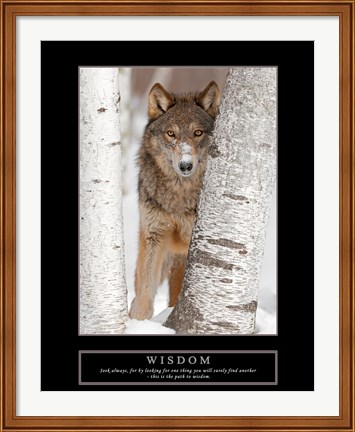 Framed Wisdom - Gray Wolf Print