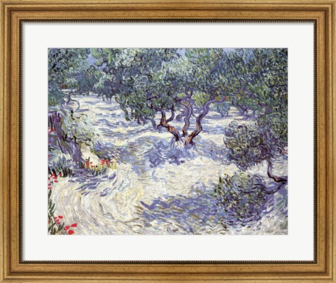 Framed Olive Orchard Print