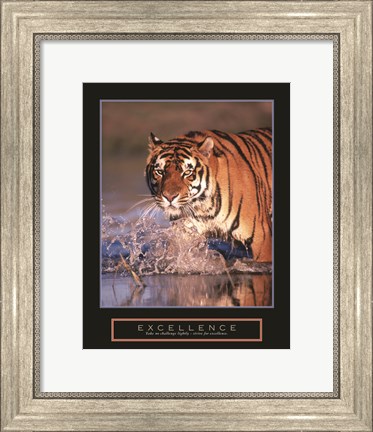 Framed Excellence - Bengal Tiger Print
