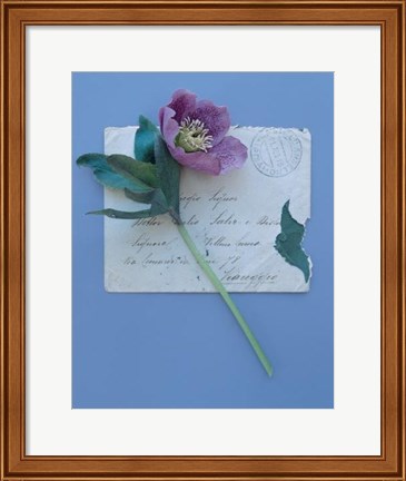 Framed Emma&#39;s Garden Heelborus Print