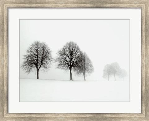 Framed Winter Trees II Print