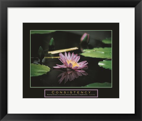 Framed Consistency - Pond Flower Print