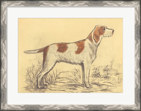 Framed Hunting Dogs-Griffon Print