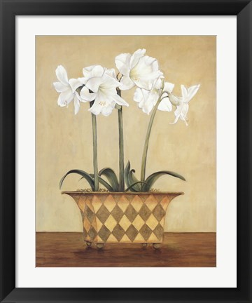 Framed Amaryllis In Checkered Vase Print