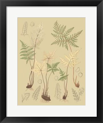 Framed Nature&#39;s Lace II Print