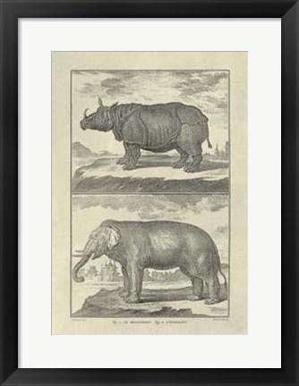 Framed Elephant Rhino Print