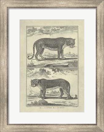 Framed Panther Leopard Print