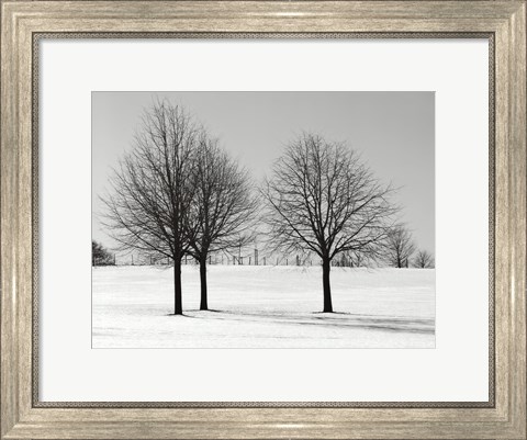 Framed Silhouettes Of Winter I Print