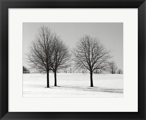 Framed Silhouettes Of Winter I Print
