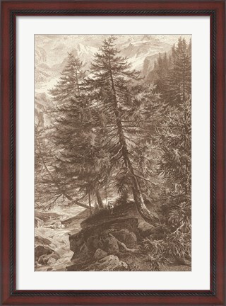 Framed Sepia Larch Tree Print