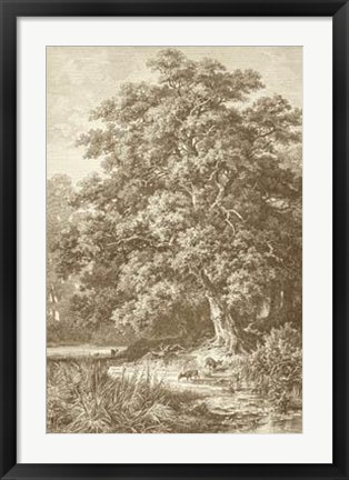 Framed Sepia Oak Tree Print